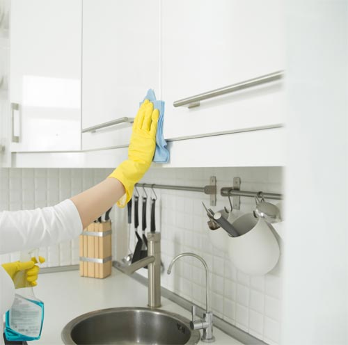 G�ndelik Ev Temizli�i